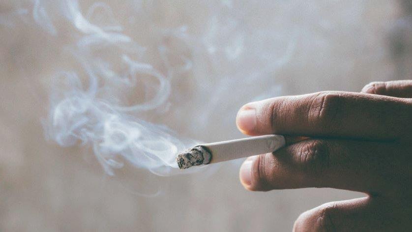 5295735881967412 image