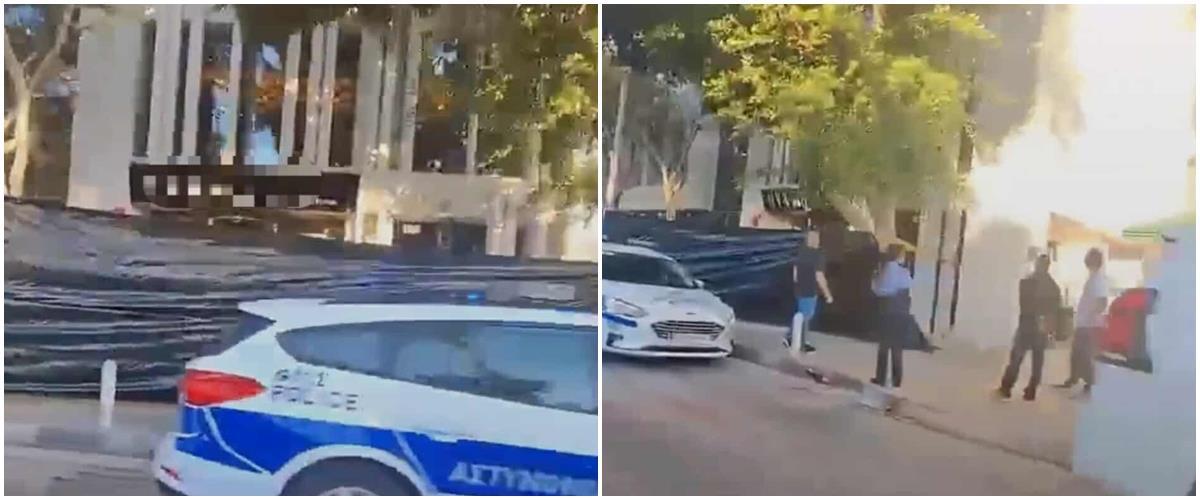 5295760484476716 cats