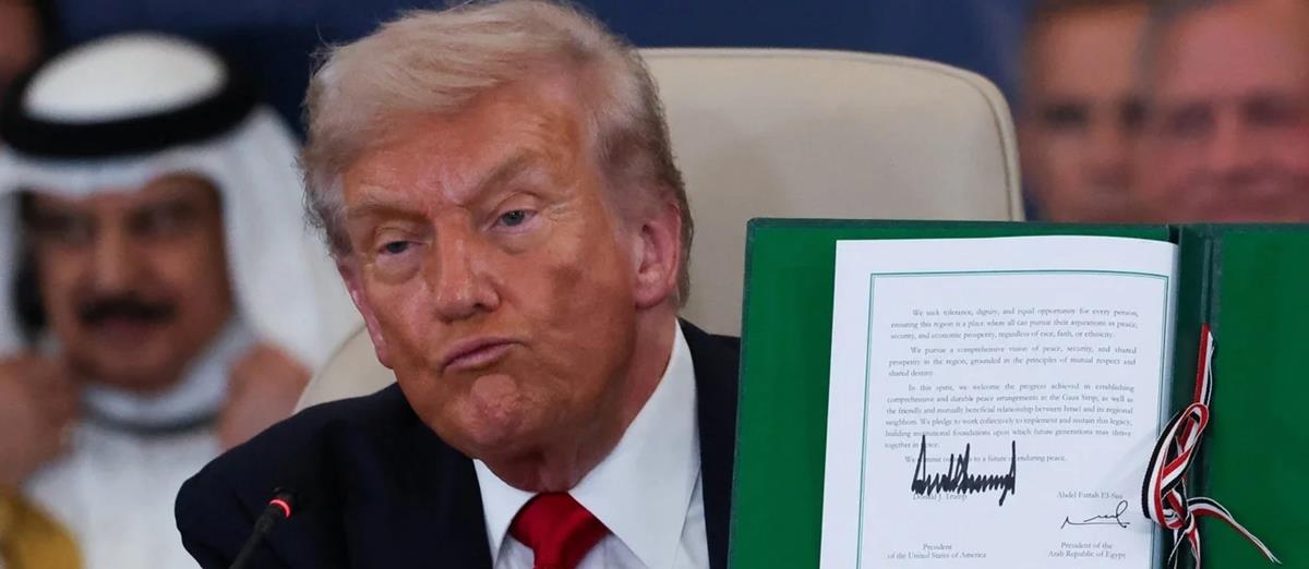 5296579525544543 cats