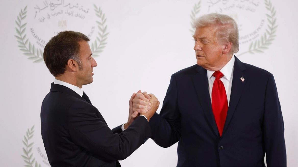 5296594174870626 image