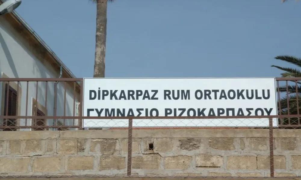 5297800621168295 sxoleia rizokarpaso-large thumbnail