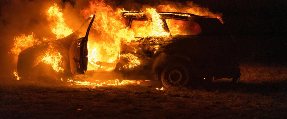 5298345639738466 cats