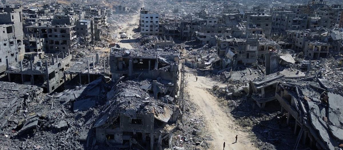 5298368688278999 cats