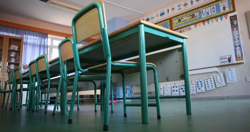 5298463636078015 cats