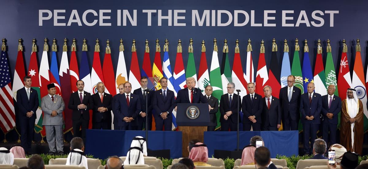 5298548251495183 cats