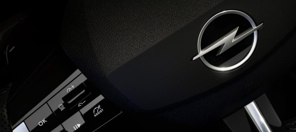 5299537208686471 cats