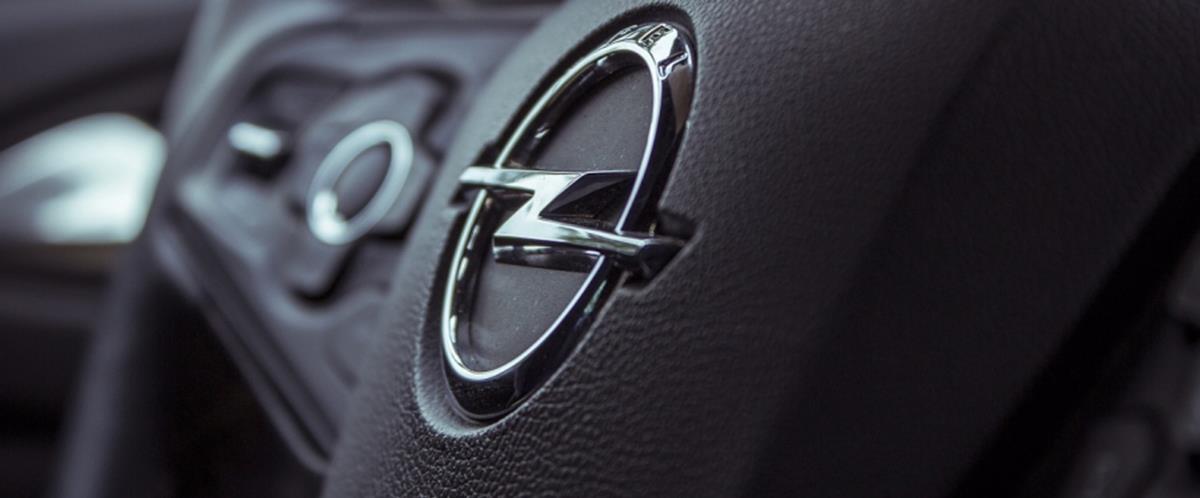 5301893376290514 cats