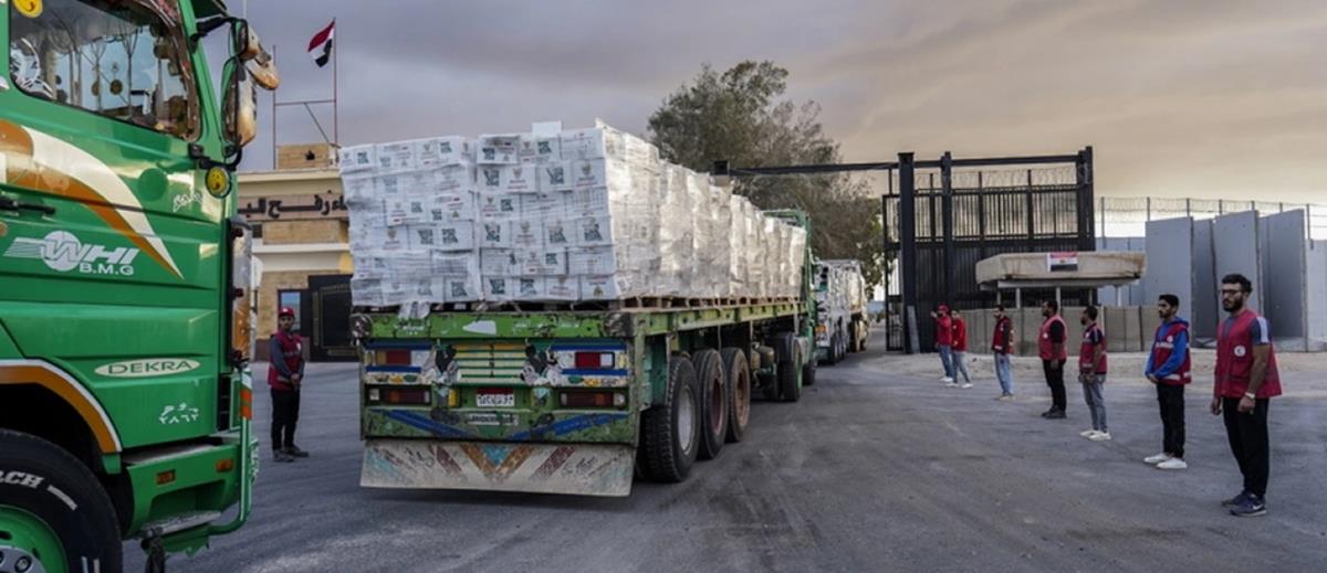 5301970603296650 cats