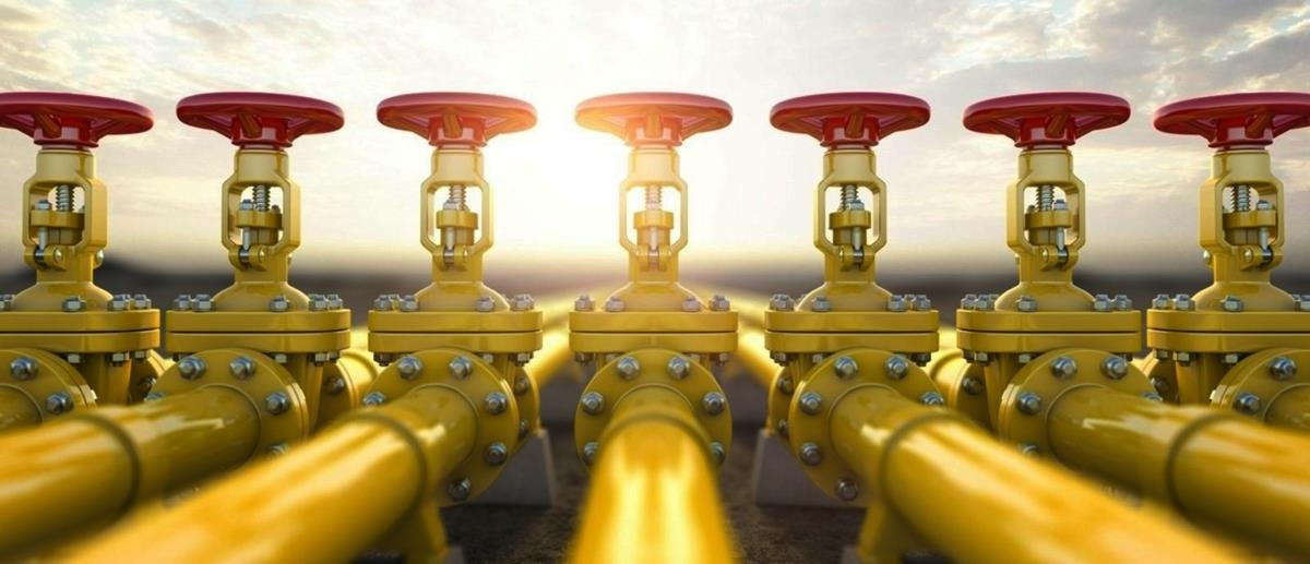 5301983538286264 cats