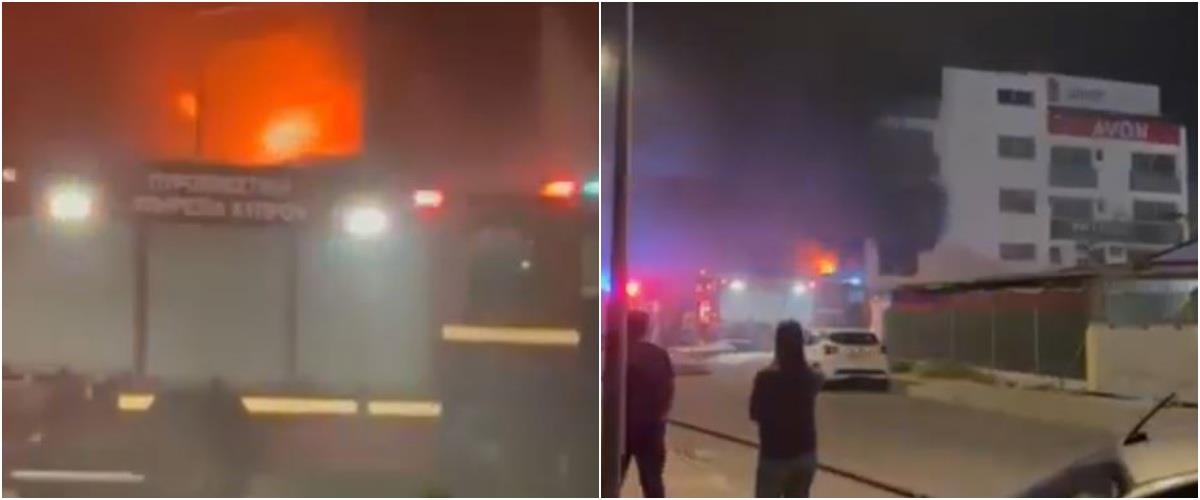 5302205922189493 strovolos fotia