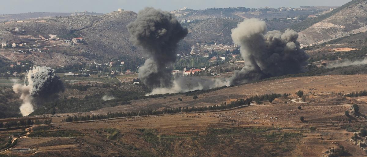 5302626581504264 cats