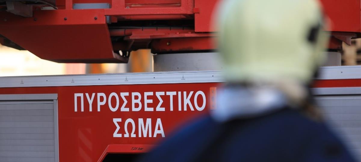 5302800377080482 cats