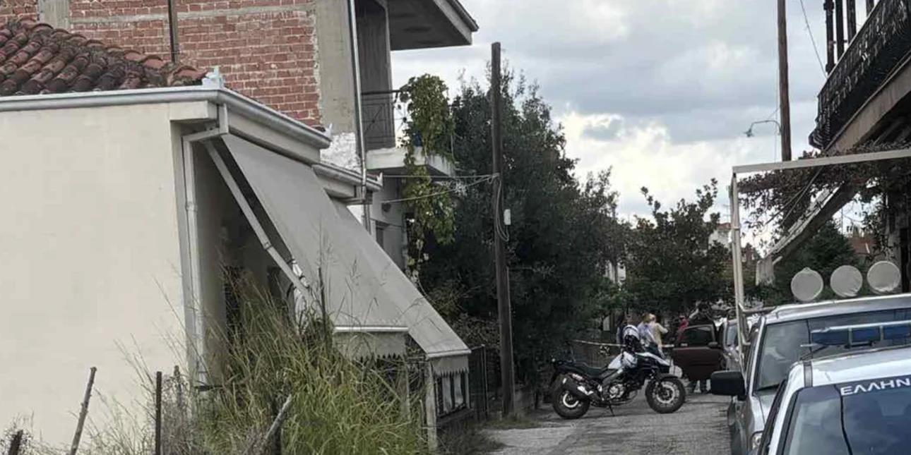 5302990492304154 image