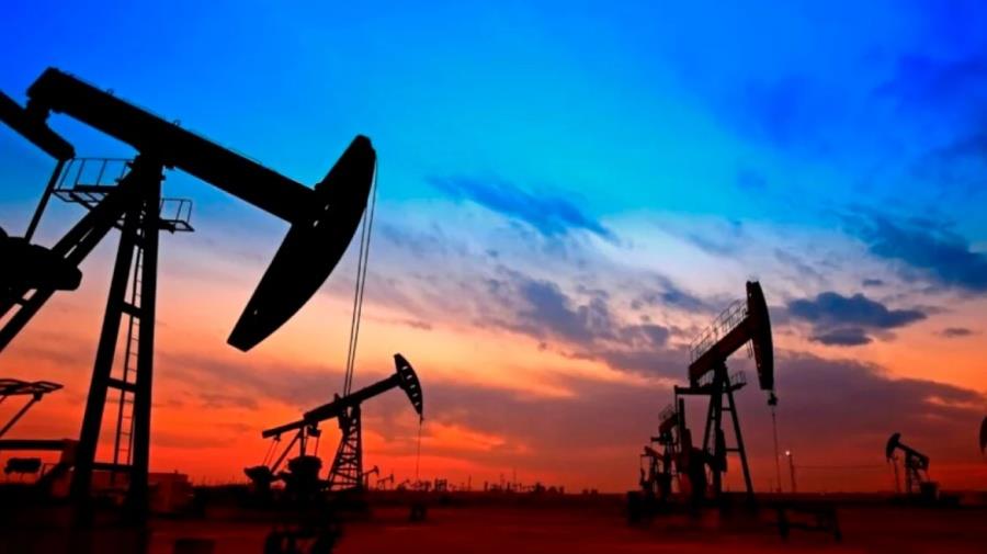 5304355949320565 petrelaio maketa