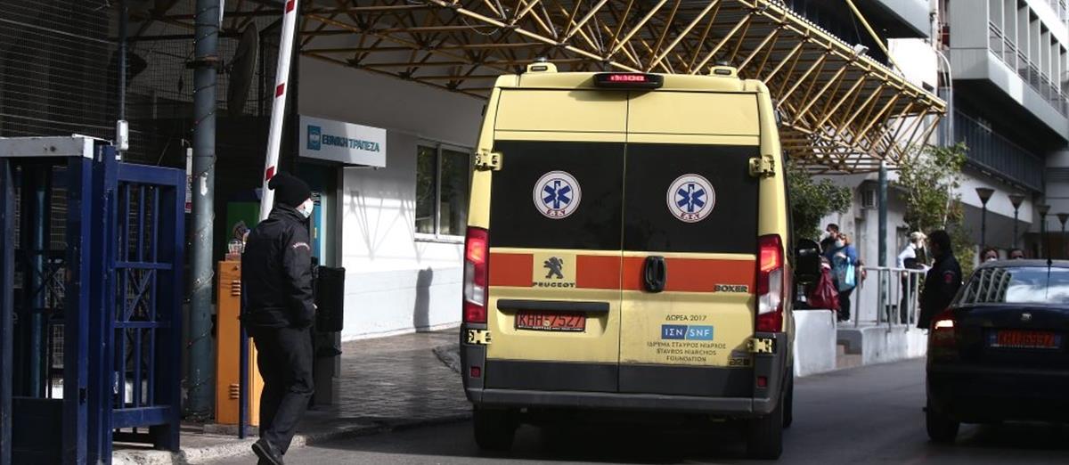 5304599213136637 cats