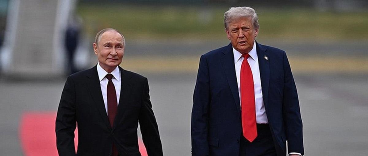 5306080922662089 cats