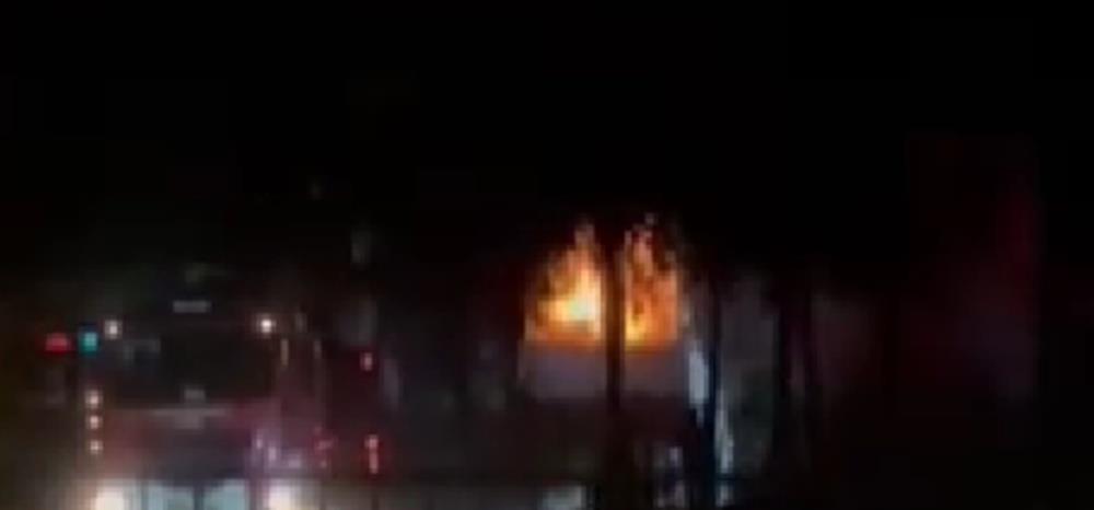 5306170993359881 cats