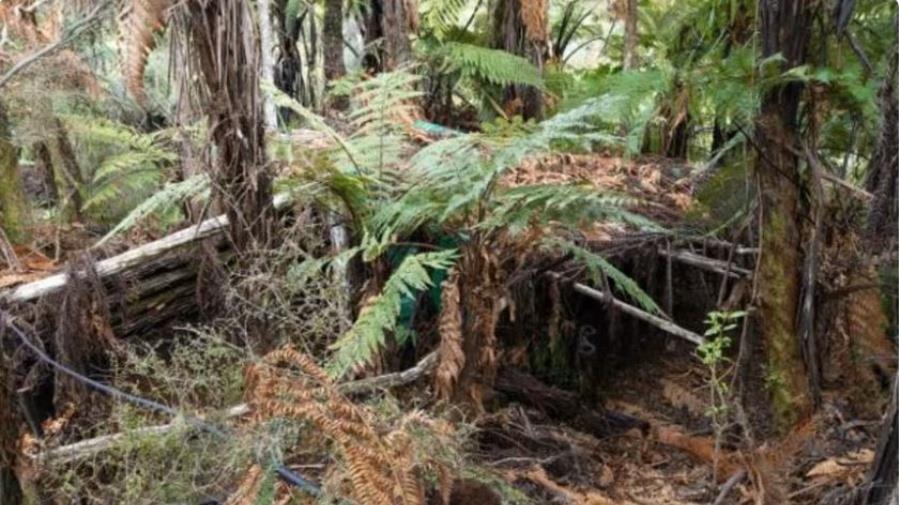 5306974441371075 Capture