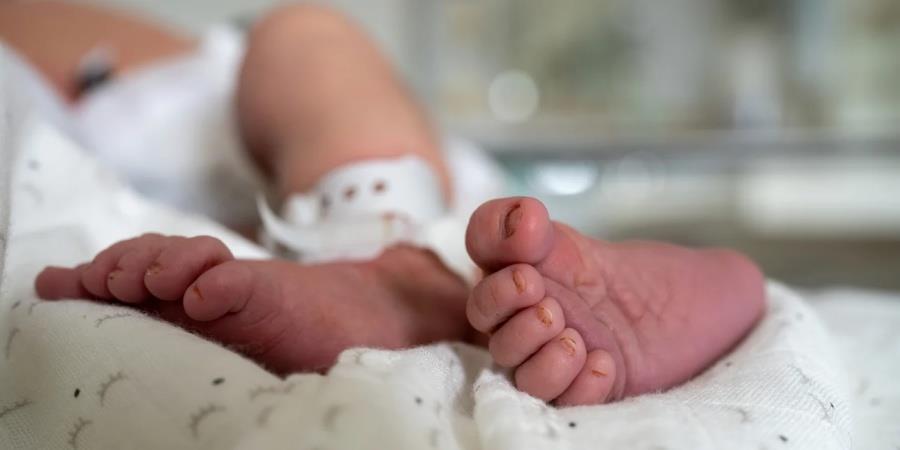 5307077561218464 brefos-podia