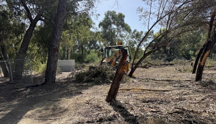 5307255618030554 img 2473