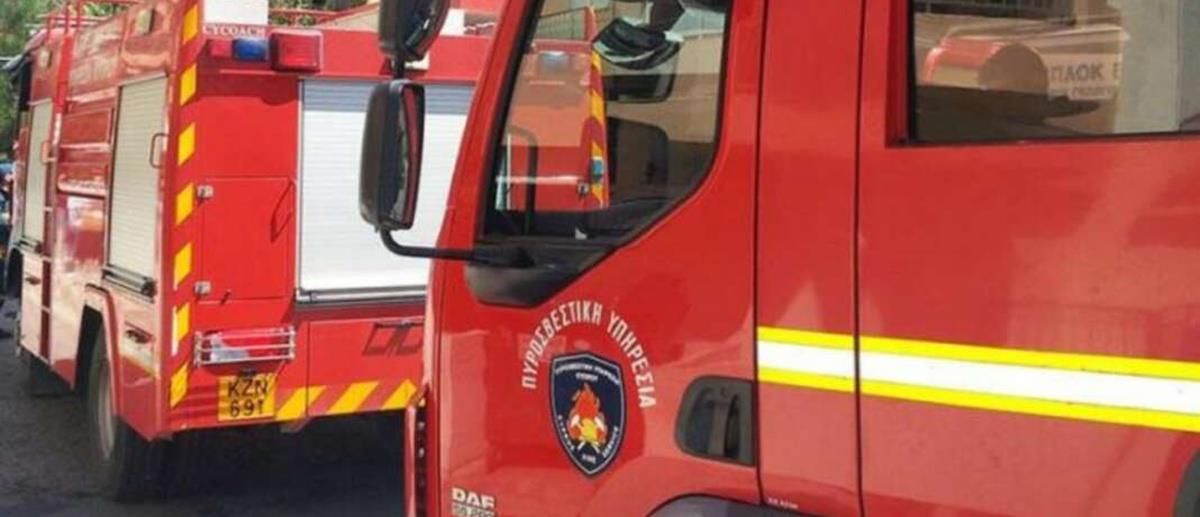 5307837764884318 cats