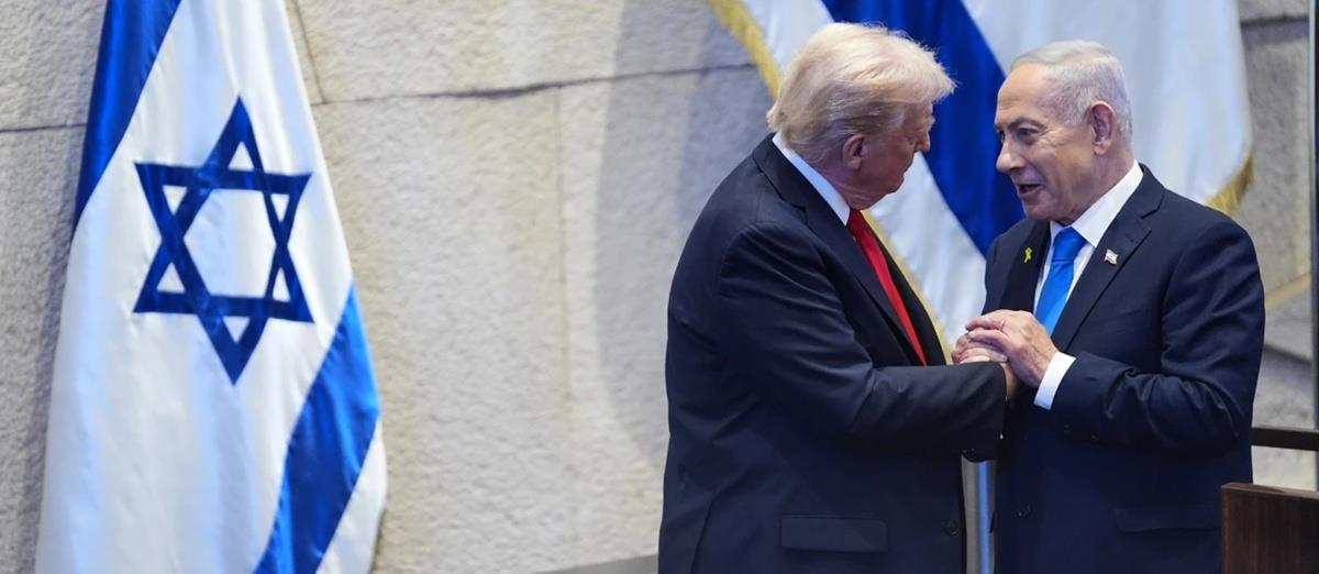 5308005391876633 cats