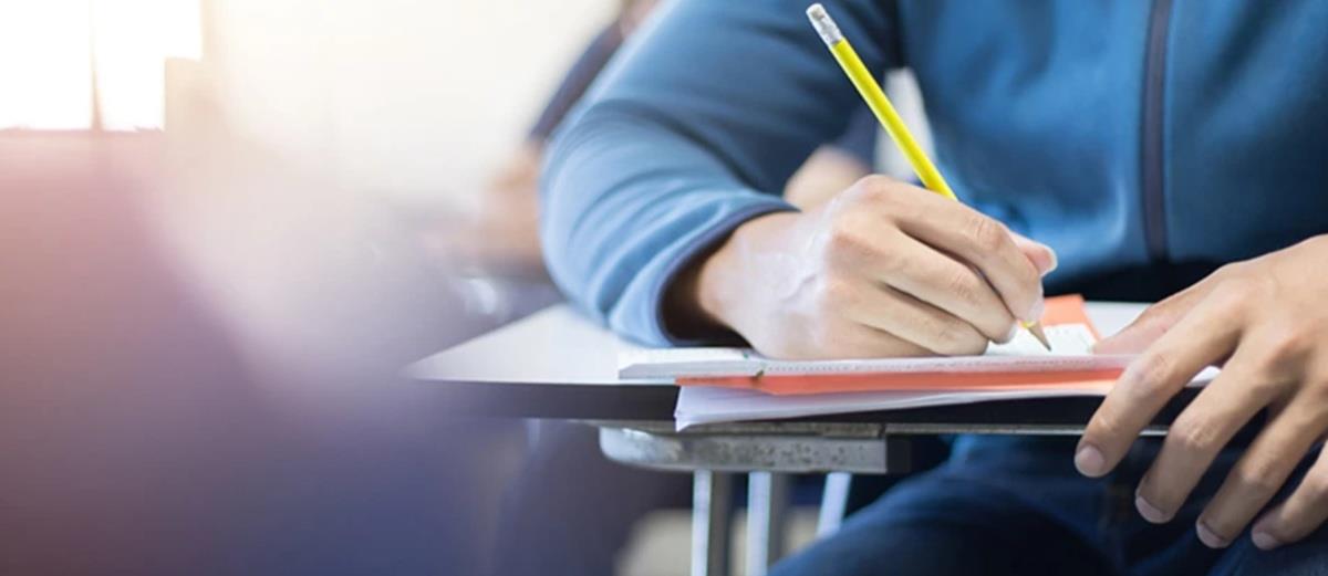 5308057169359837 cats