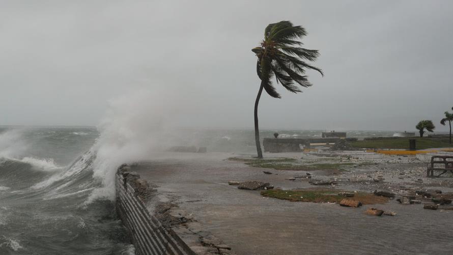 5309034478055507 image