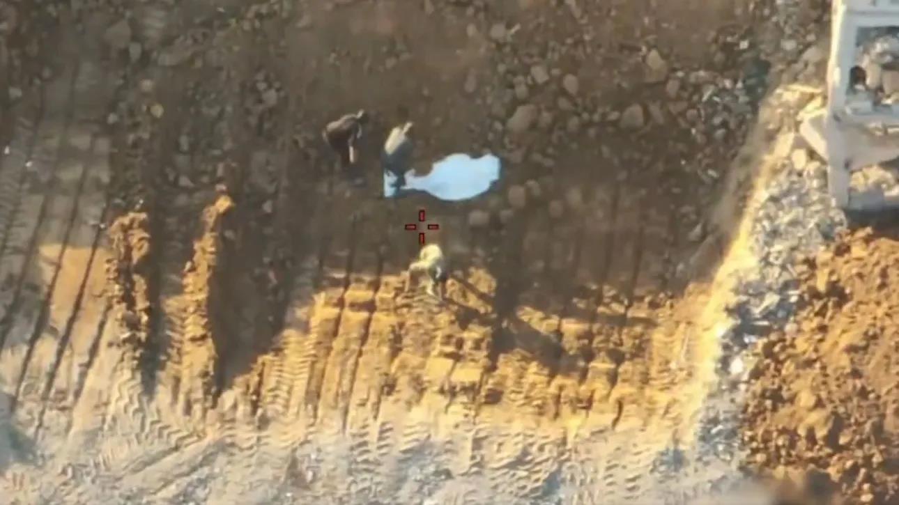 5309095092137904 image