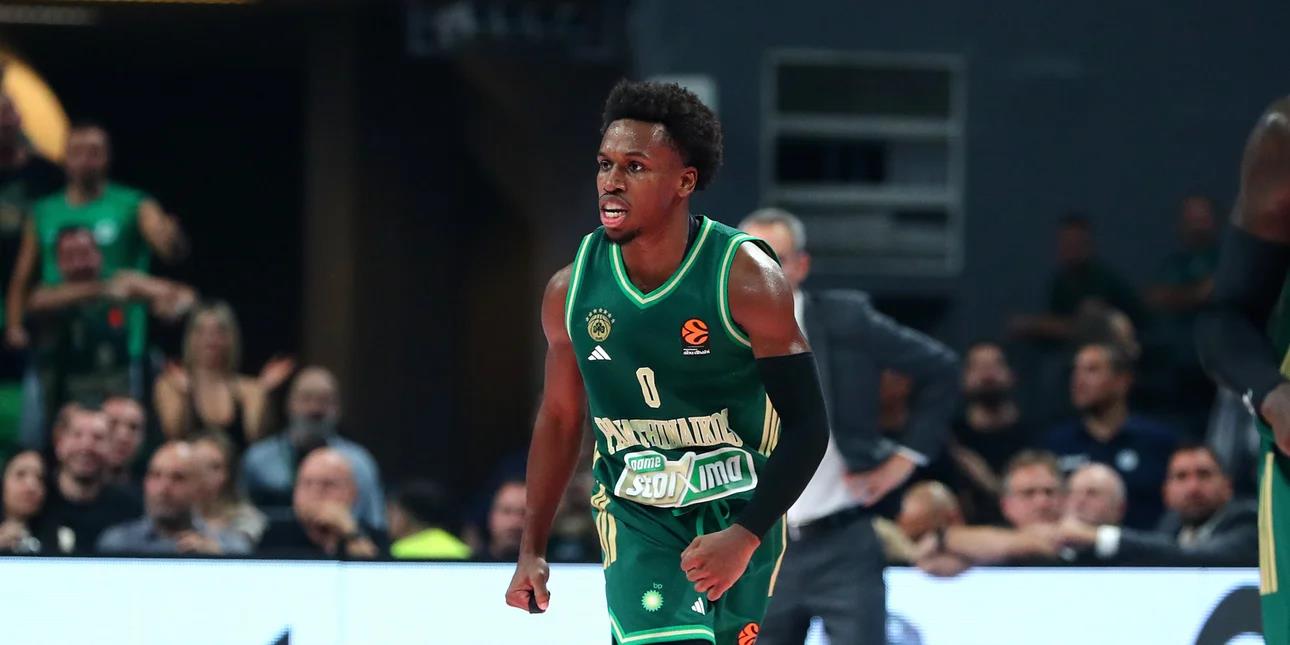 5309562719216050 image