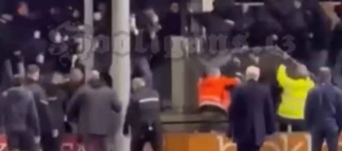 5309584136383267 cats