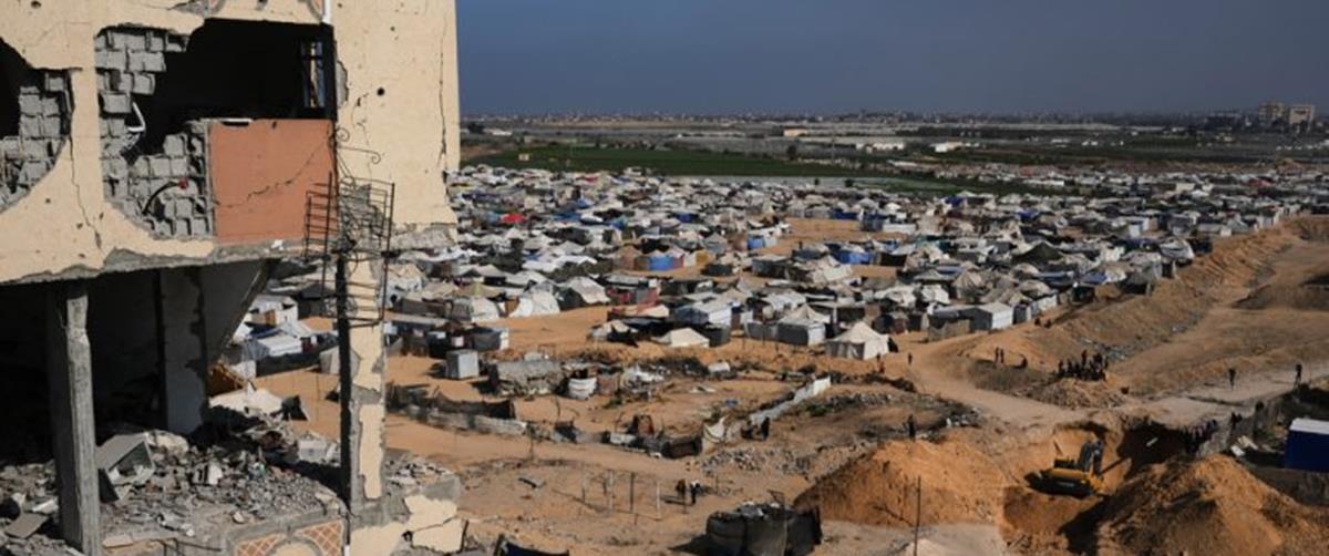 5309657369862220 cats