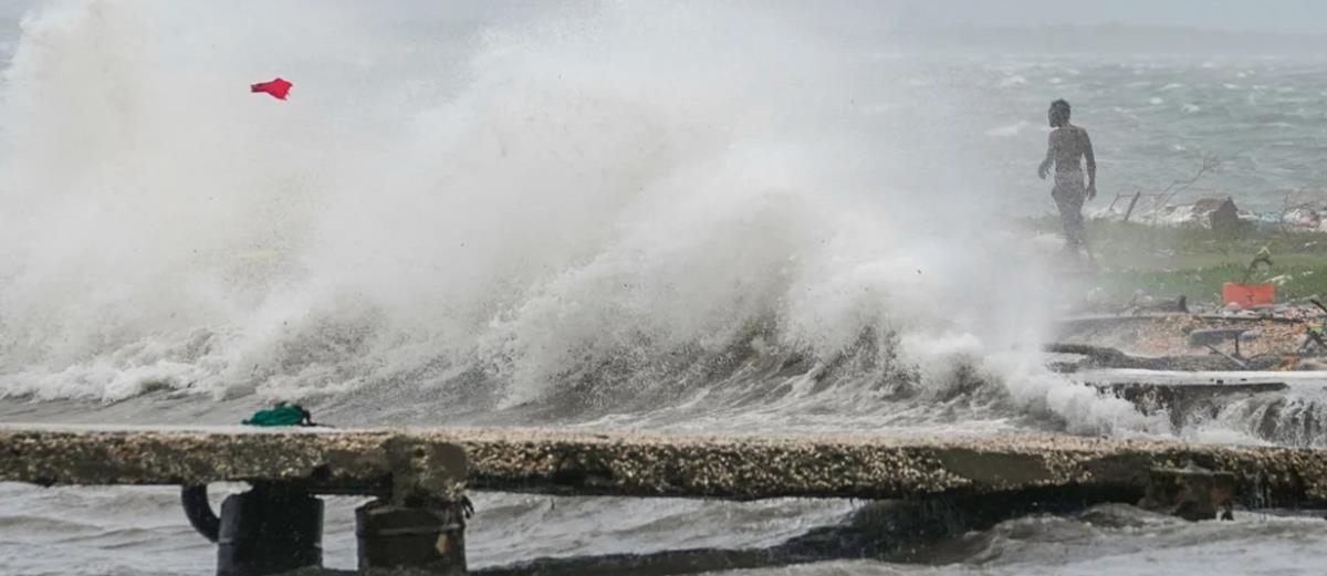 5309689512631658 cats