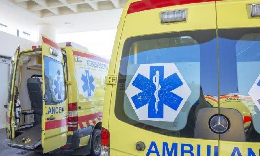 5309818795440831 image