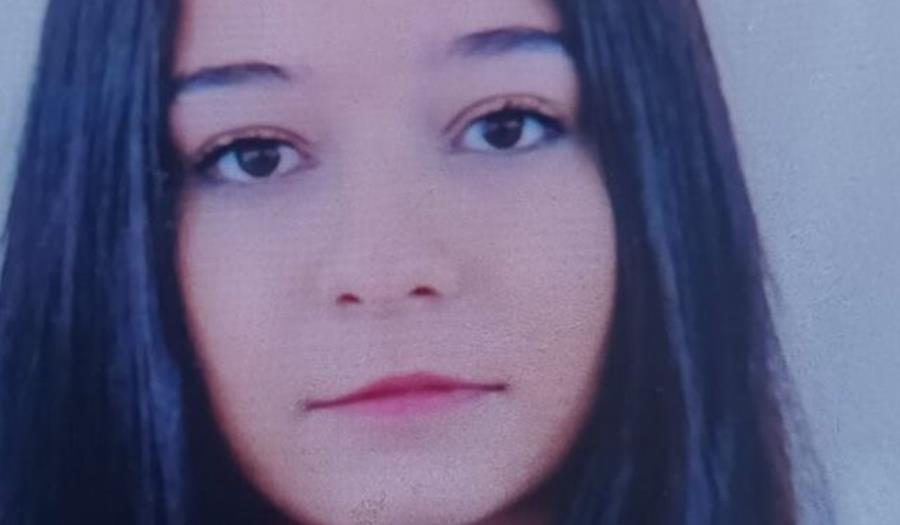 5310623734628913 cats