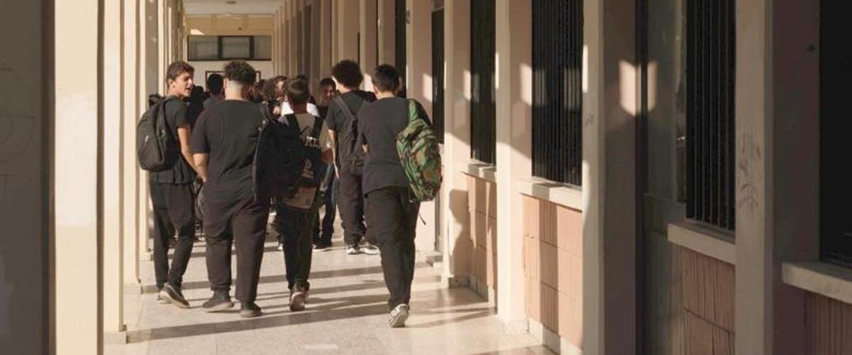 5310763821030999 cats