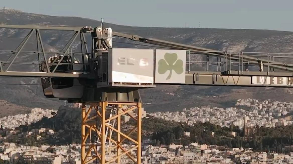 5310775910058081 image