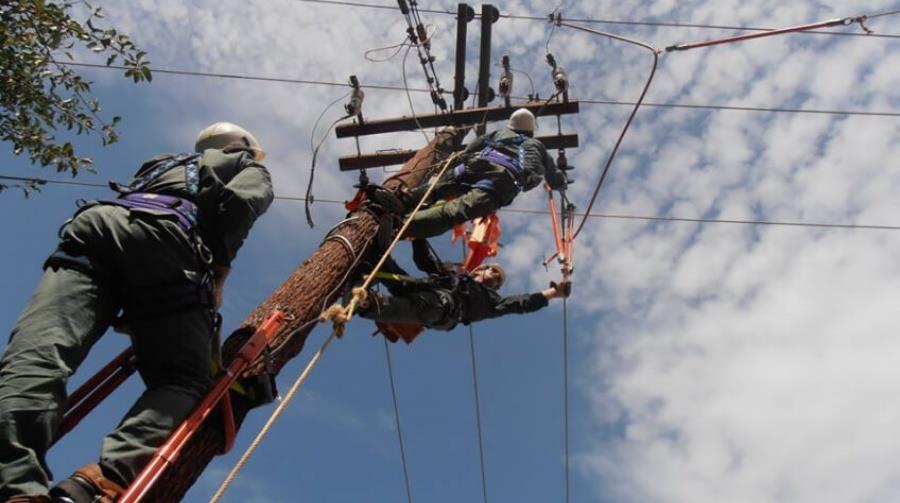 5311440561907234 aik-1