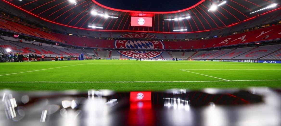 5311598163841630 cats