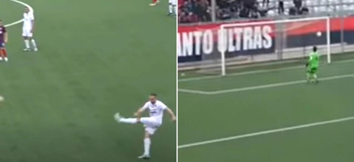 5311608367663413 cats