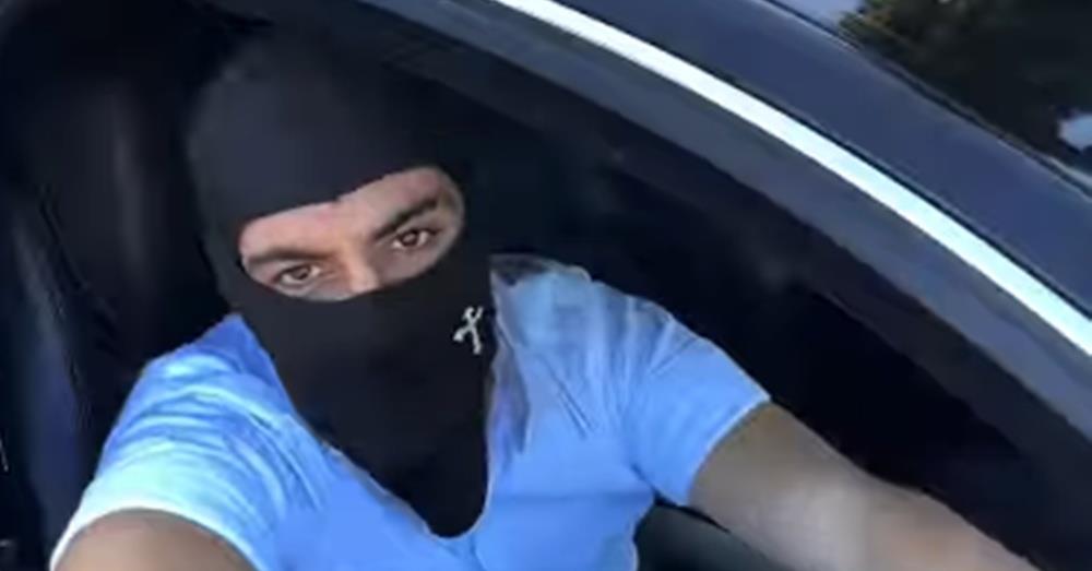 5311666849528112 cats