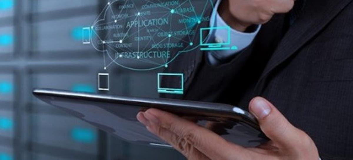 5311702654207568 cats