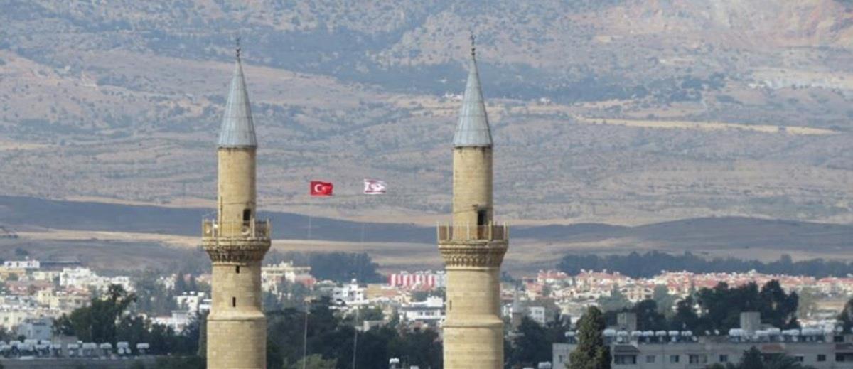 5311731821292825 cats