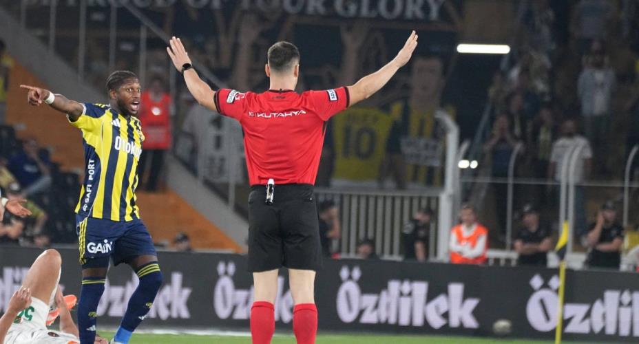 5311747947026205 image