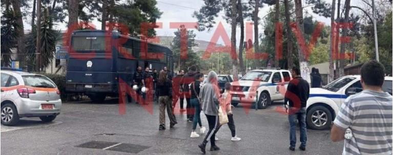 5312338353697201 image