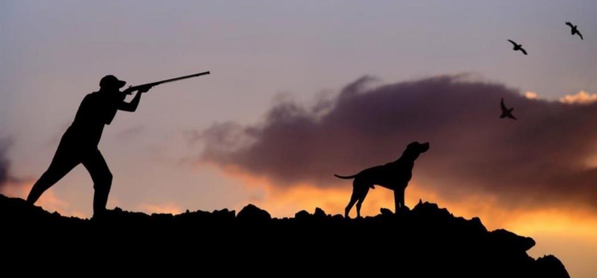 5312364255308520 kinigi-1