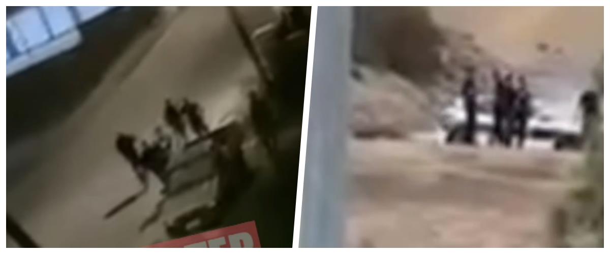 5313328483764003 collage