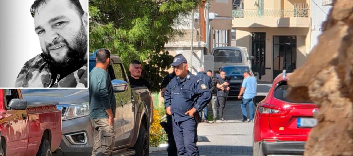 5313882493573314 cats