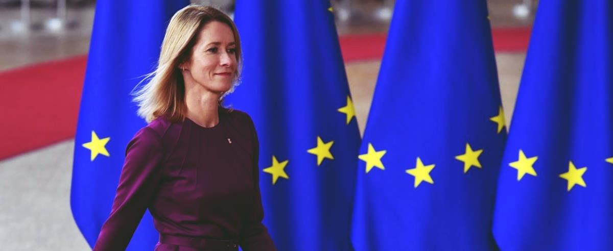 5314114560406842 cats