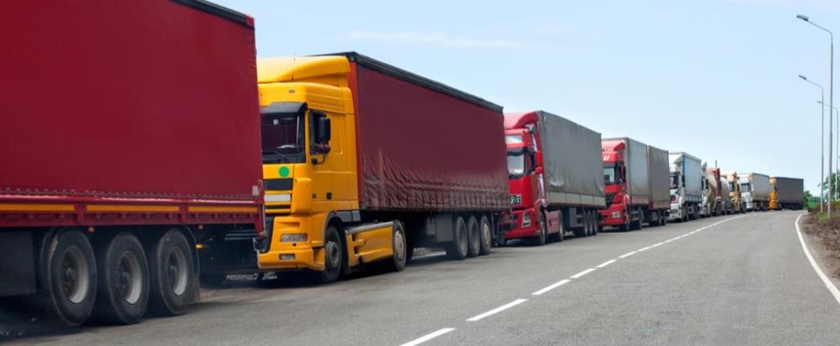 5314915120434837 cats